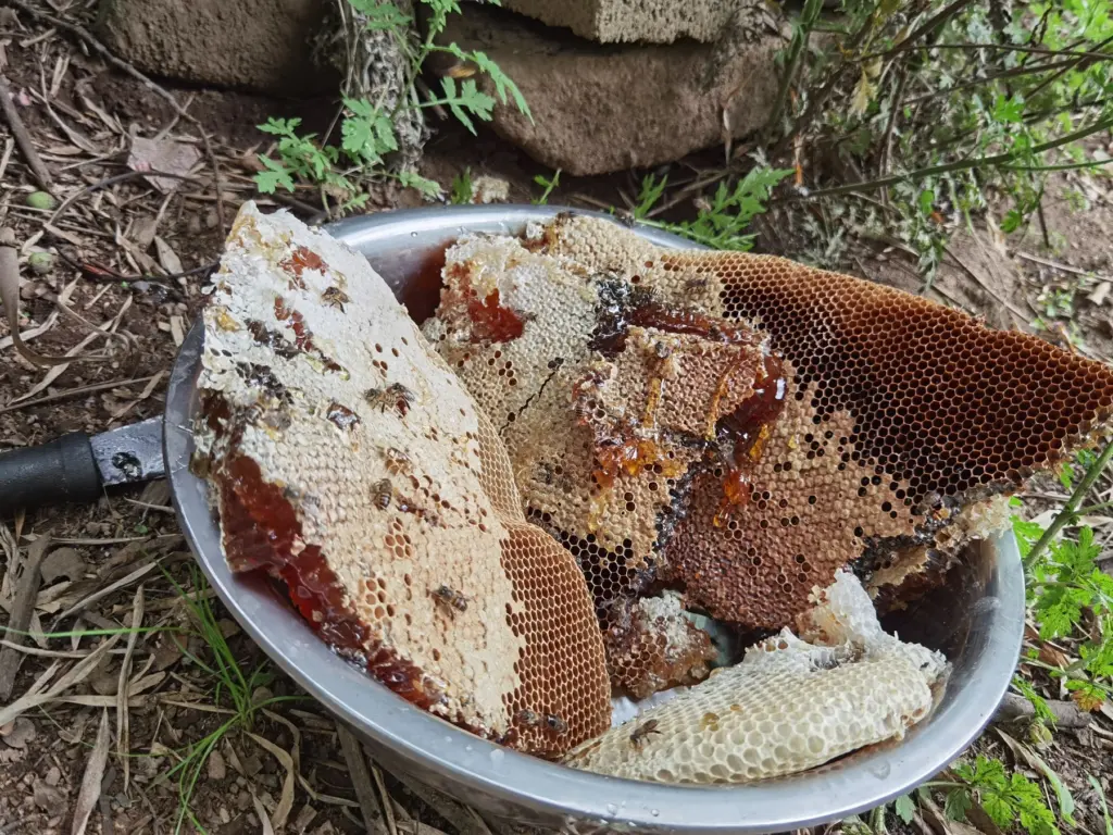 蜂巢原料现场