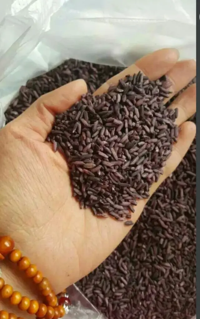 紫米颗粒（原资料截图裁切）
